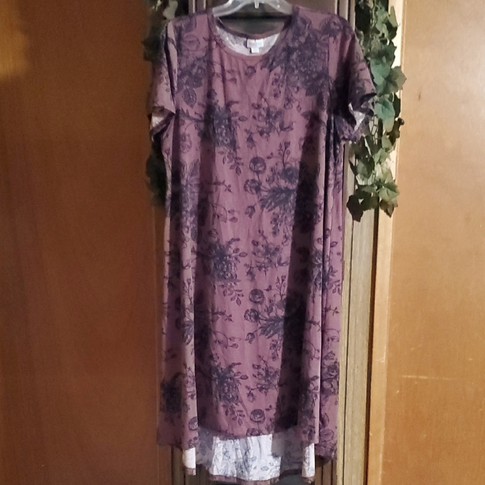 #CARL05 (CH) NWOT LuLaRoe Carly Swing Dress